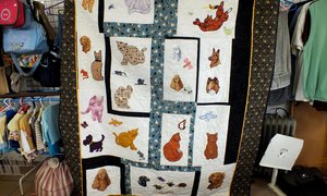 GRATIS Sterilisasie veldtog